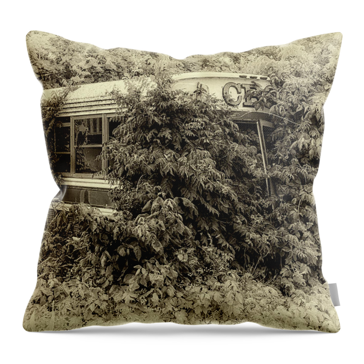 Bus Throw Pillow featuring the photograph Forgotten in Black and White by Susan Rissi Tregoning