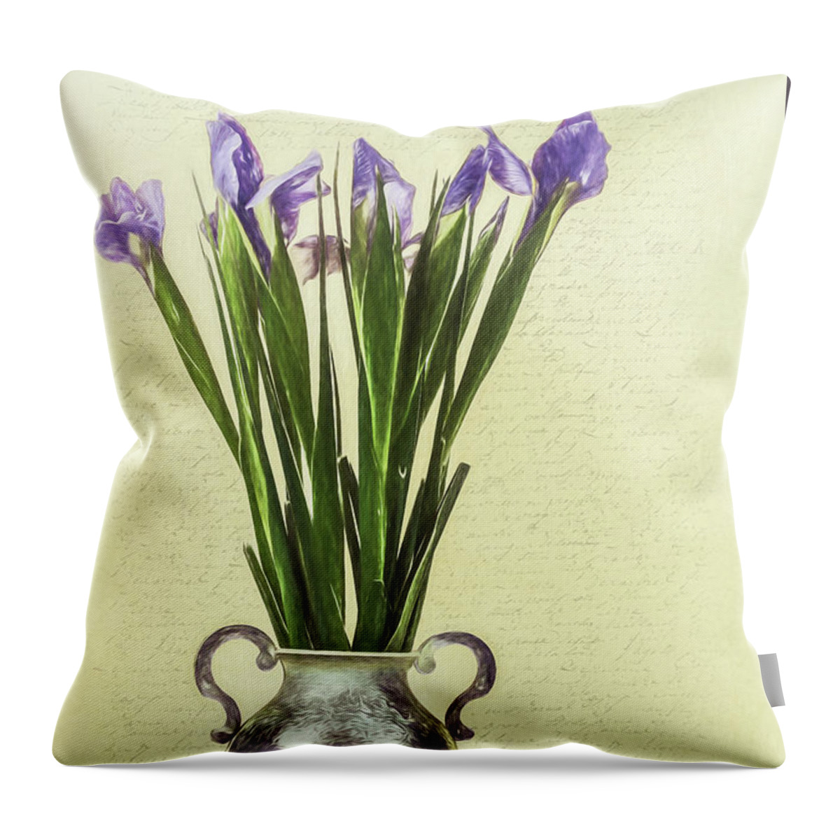 Letter Throw Pillow featuring the photograph Forgotten Letter by Jennifer Grossnickle