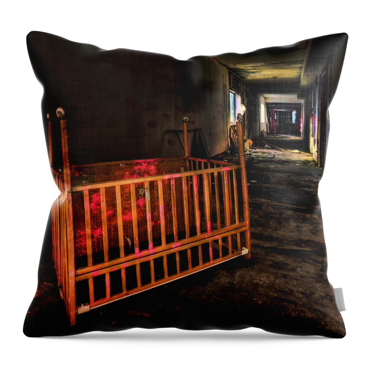 Lullaby Throw Pillow featuring the photograph Forgotten Lullaby by Evelina Kremsdorf