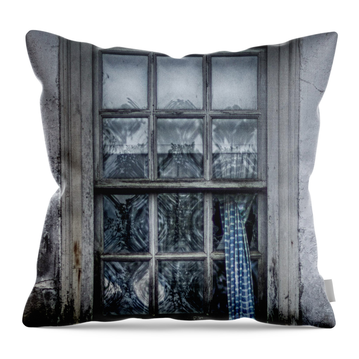 Window Throw Pillow featuring the photograph Forgotten Pane by Scott Wyatt