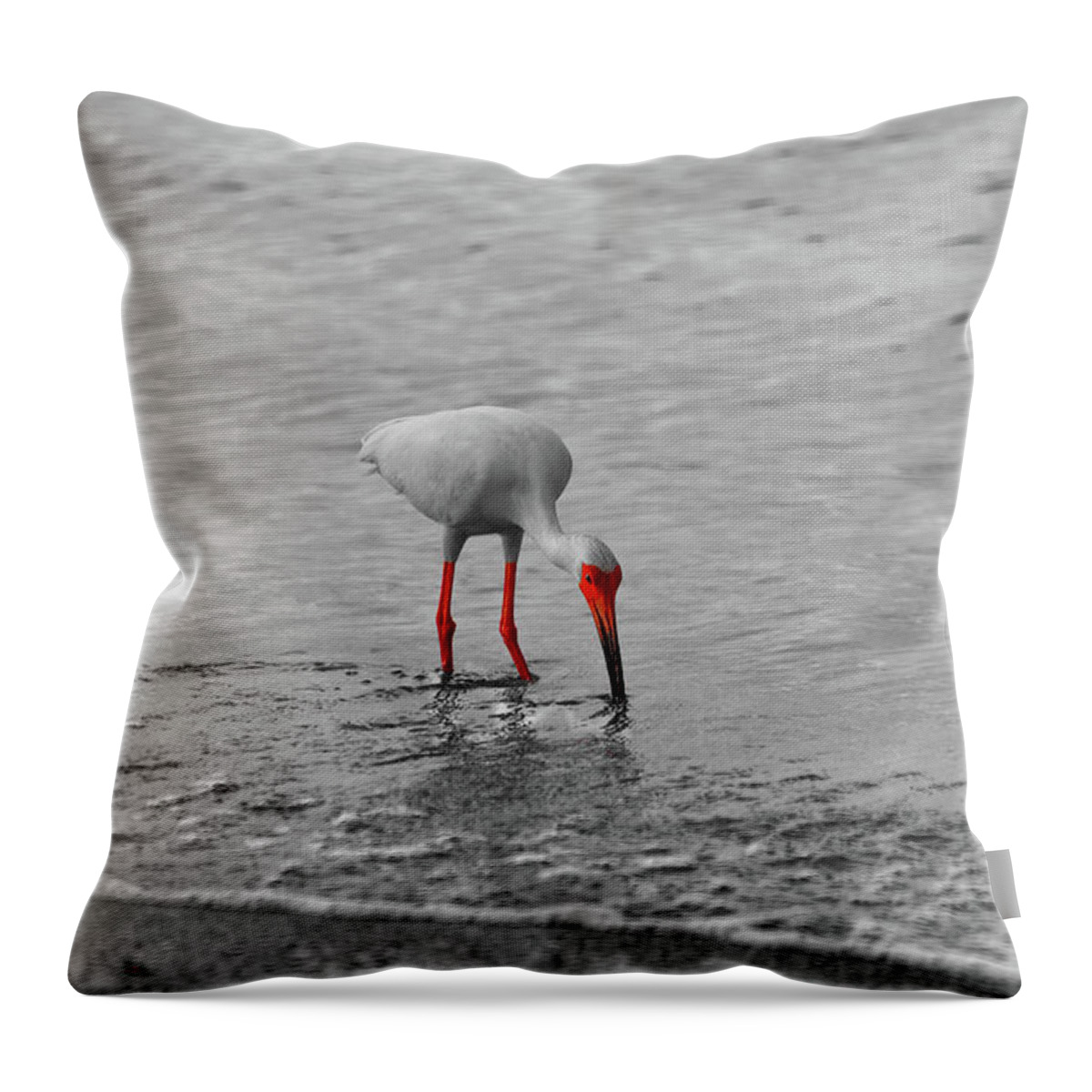 Bird Throw Pillow featuring the photograph Florida Bird in selective color by Doug Camara