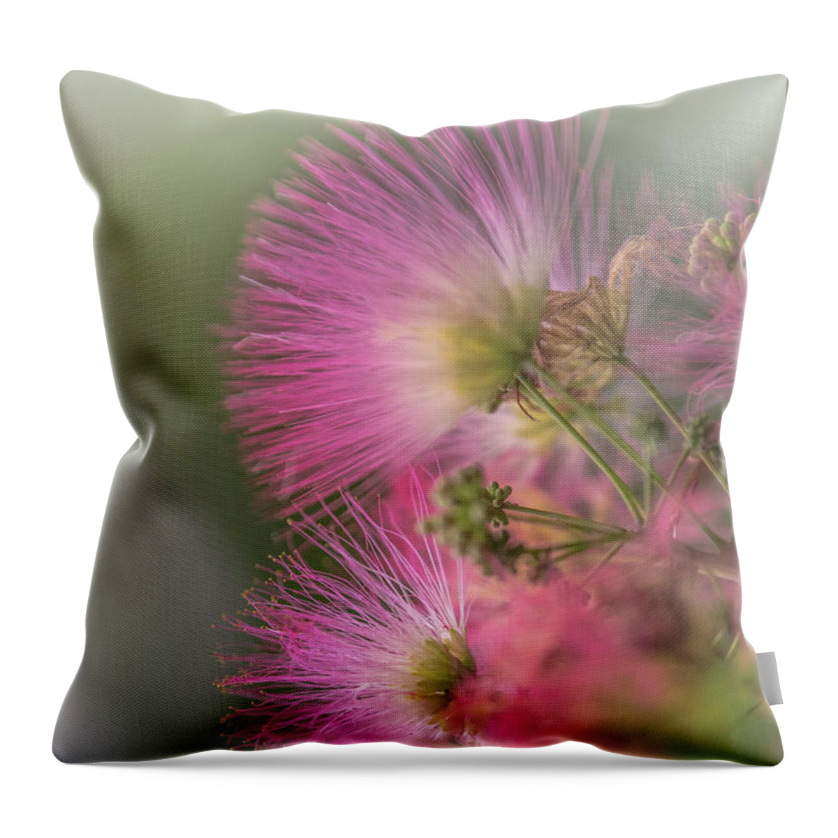 Formosa Throw Pillow featuring the photograph Formosa Dream by Bruce Pritchett