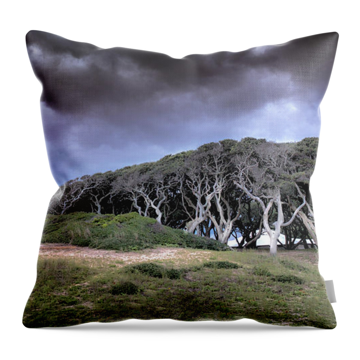 Fort Fisher Print Throw Pillow featuring the photograph Fort Fisher Stormy Sunset by Phil Mancuso