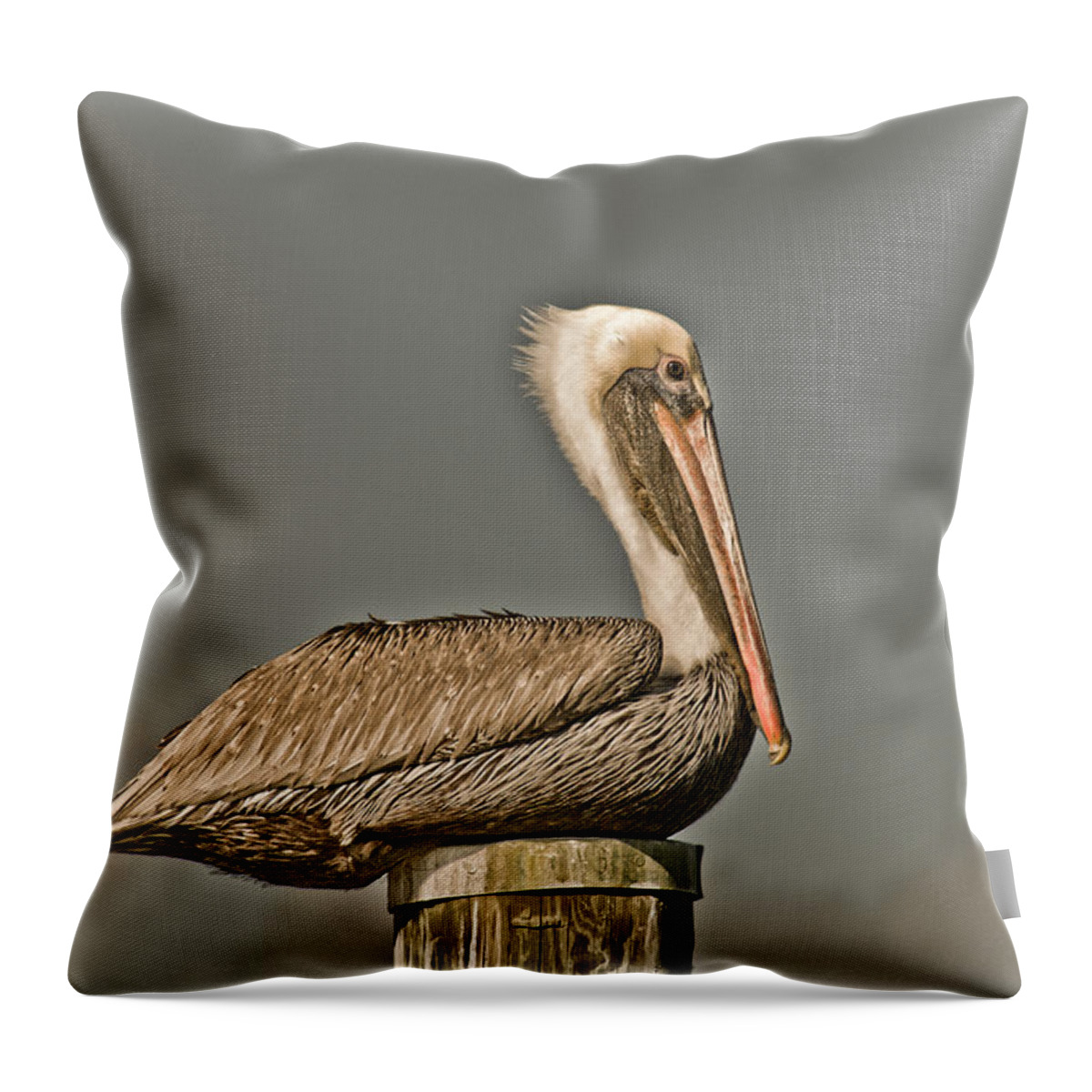 Bird Throw Pillow featuring the photograph Fort Pierce Pelican by Trish Tritz
