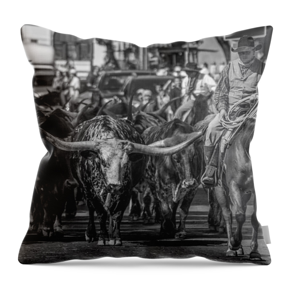 Texas Longhorn Throw Pillow featuring the photograph Fort Worth Longhorn Cattle Drive Wide by Jonathan Davison