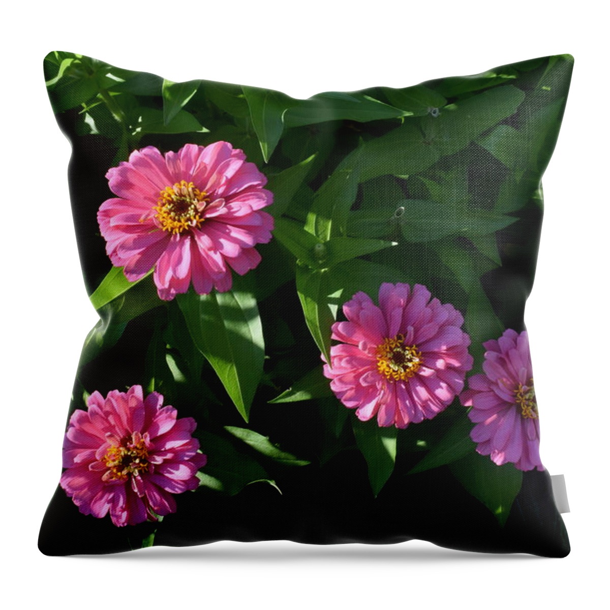 Flowers Throw Pillow featuring the photograph Four Lovely Sisters by Deborah Crew-Johnson