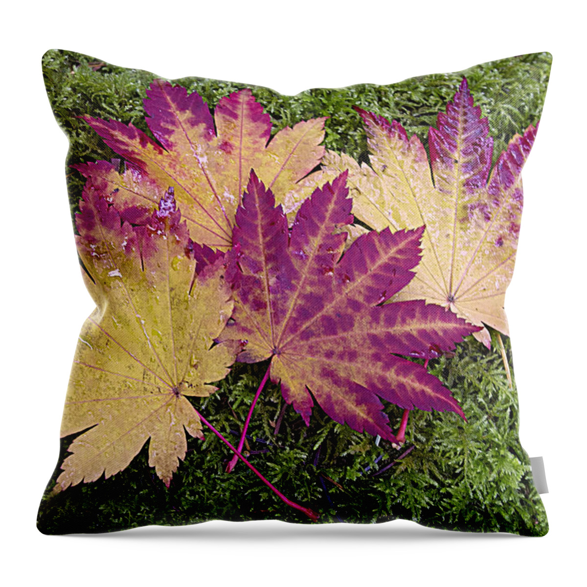Leaves Throw Pillow featuring the photograph Four of a kind by Elvira Butler
