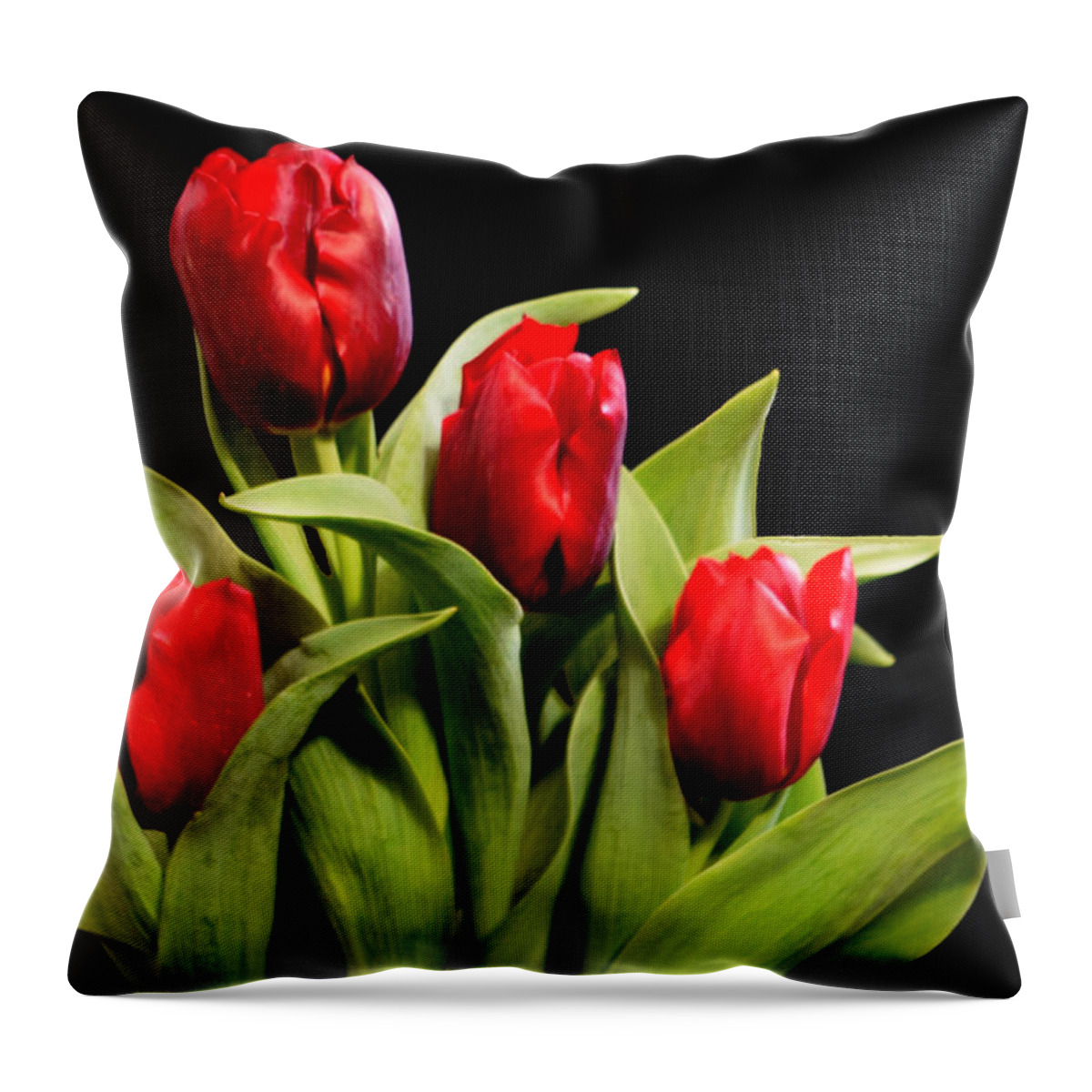 Tulips Throw Pillow featuring the photograph Four Tulips by R Allen Swezey