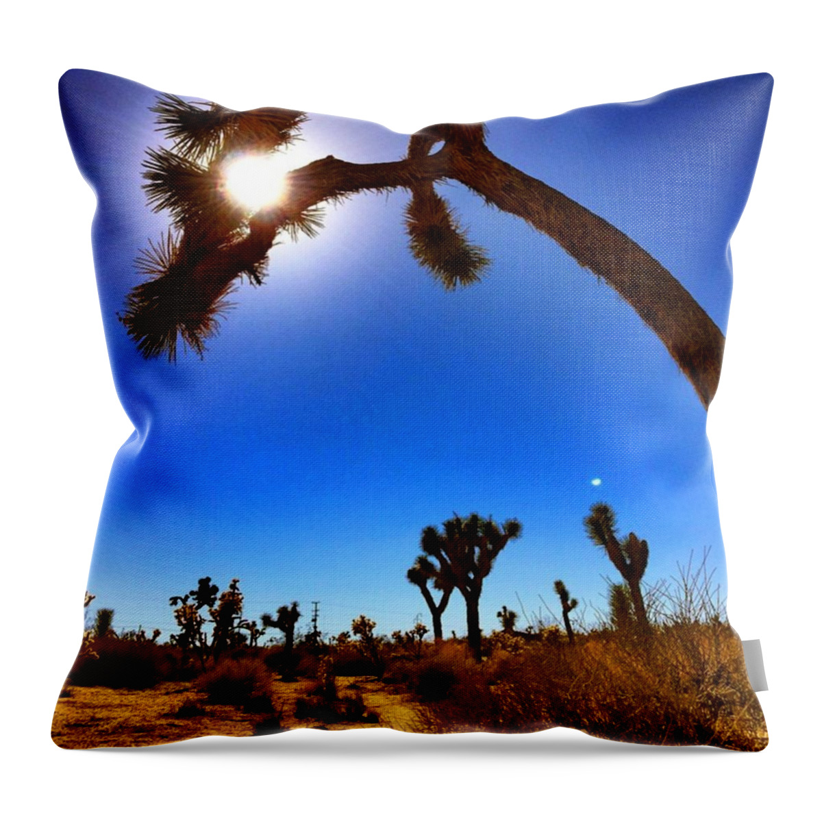 Joshuatree Throw Pillow featuring the photograph #fourwinds Annual #gathering Of by Gary Sumner