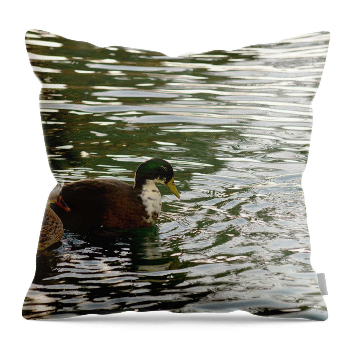 Ducks Throw Pillow featuring the photograph Fowl trio by Michael McGowan