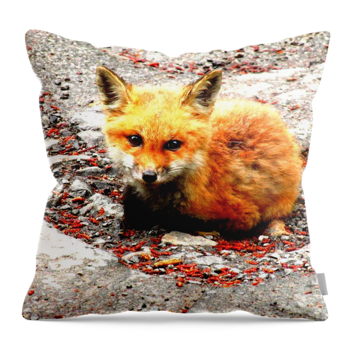 Fox Throw Pillow featuring the photograph Fox by Amy Sorrell