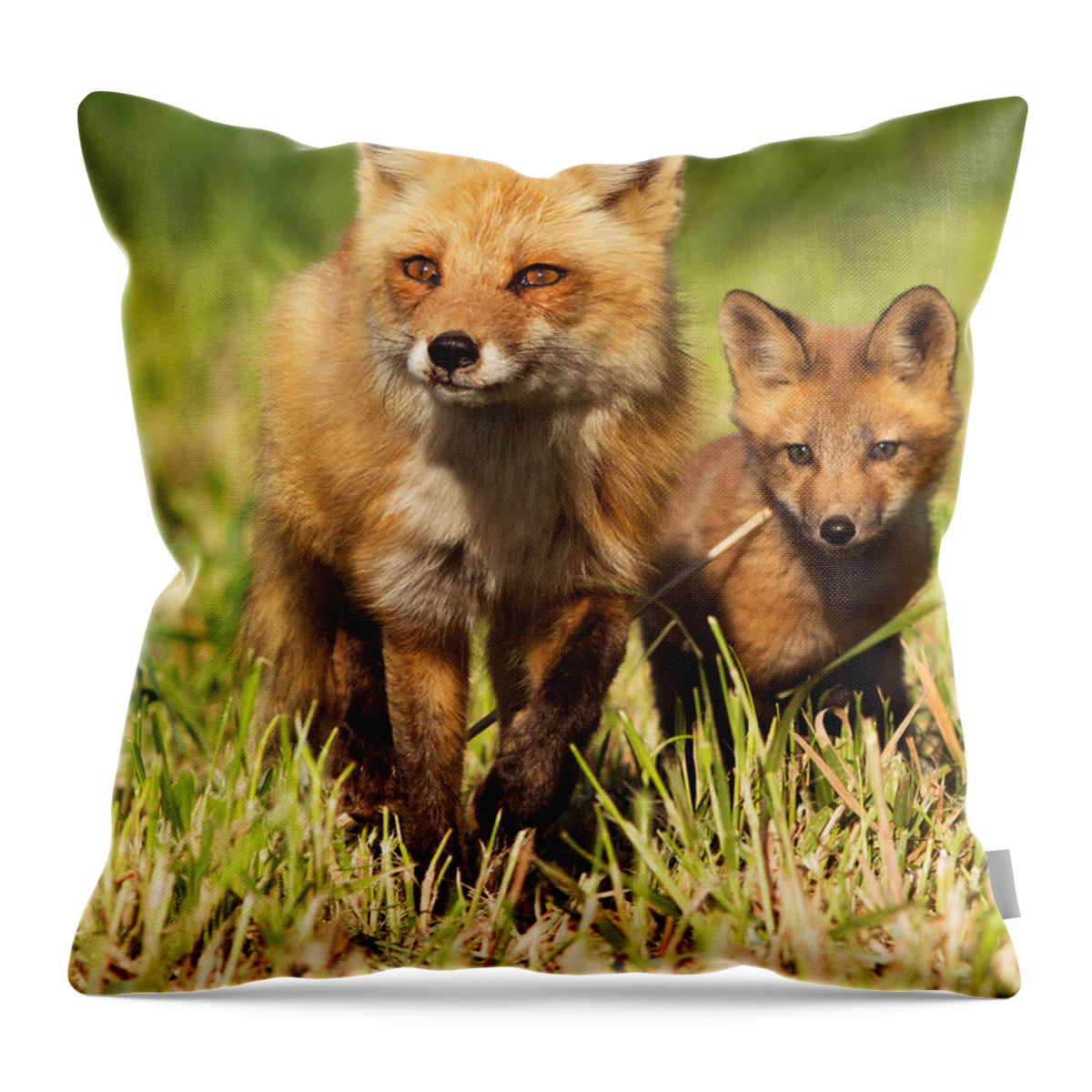 Pup Throw Pillow featuring the photograph Fox Family by Mircea Costina Photography