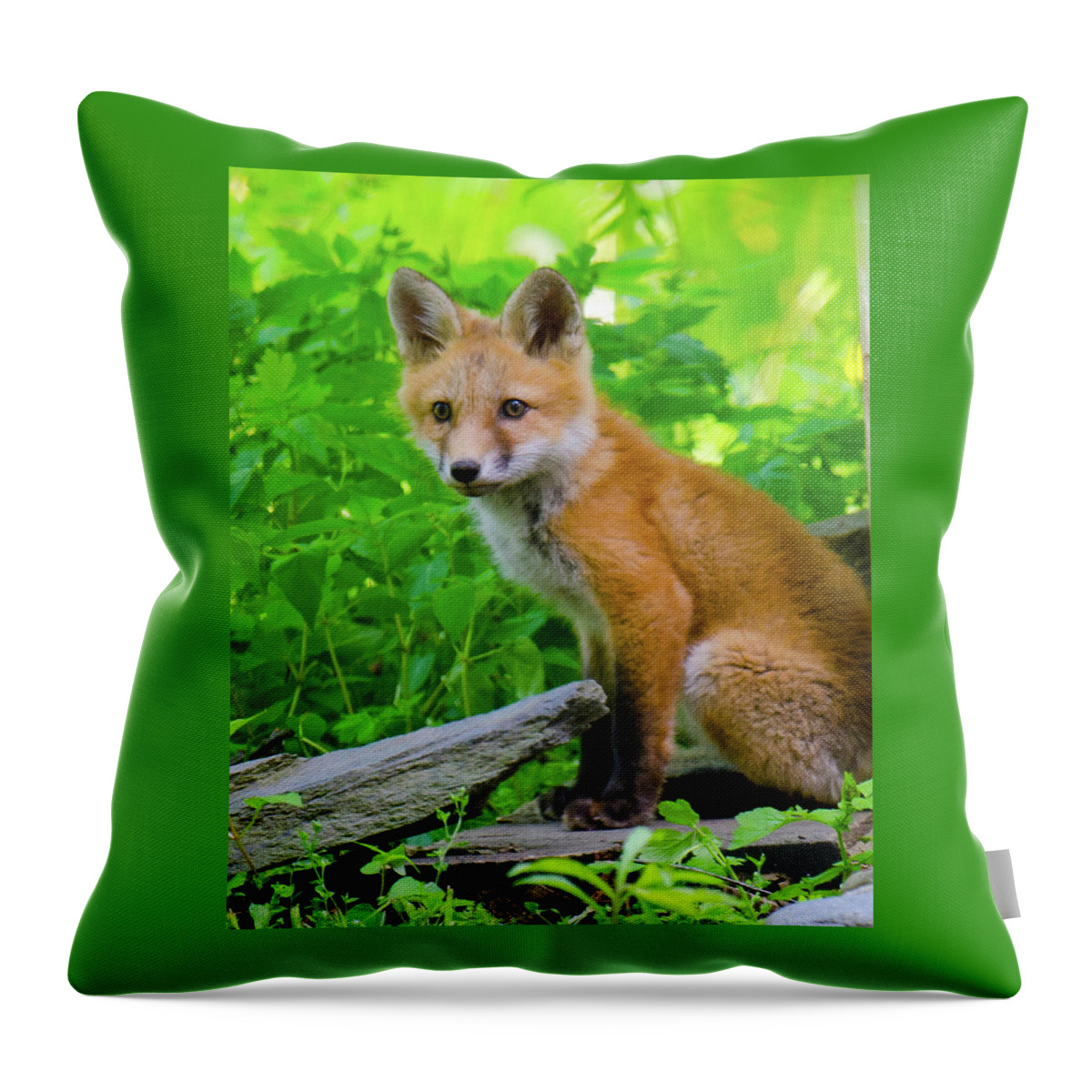 Fox Kit Throw Pillow featuring the photograph Fox Kit - 1 by Kristin Hatt