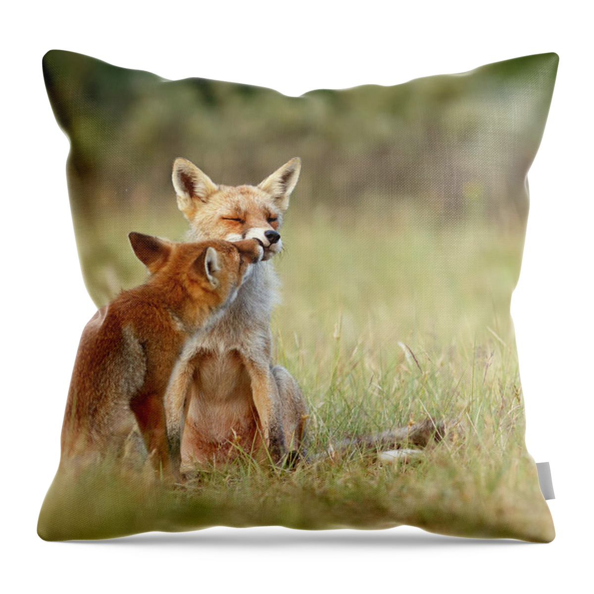 Red Fox Throw Pillow featuring the photograph Fox Love Series - Kiss by Roeselien Raimond