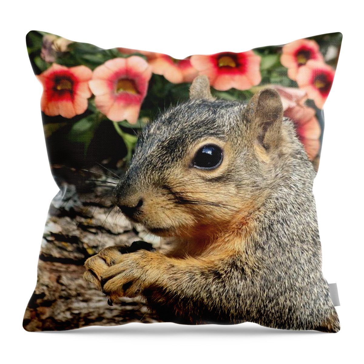 Nature Throw Pillow featuring the photograph Fox Squirrel Portrait by Sheila Brown