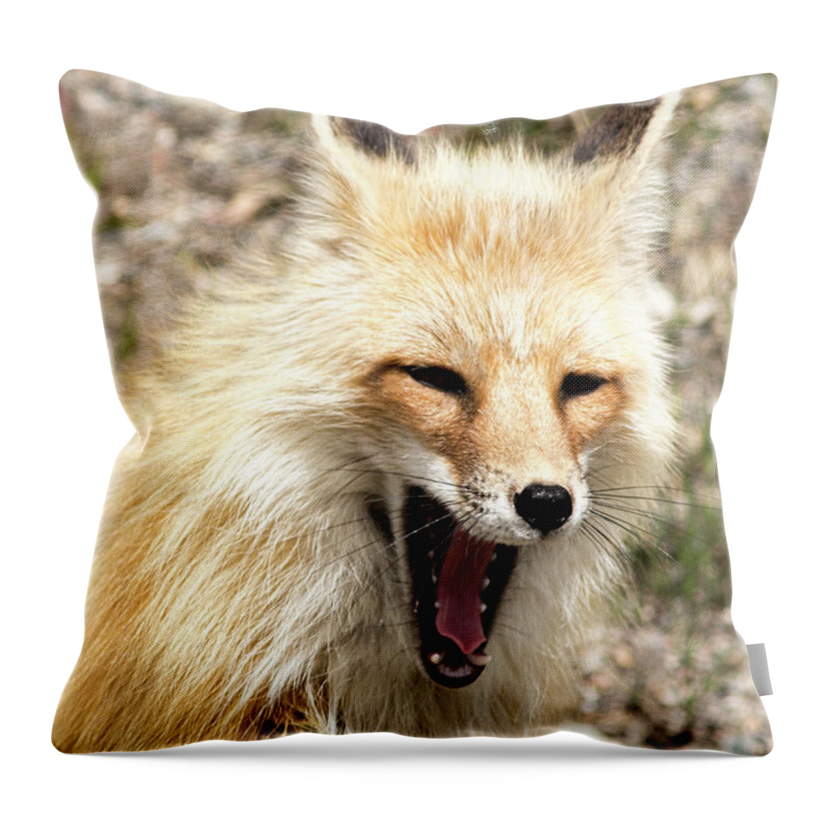 Fox Throw Pillow featuring the photograph Fox Yawn by Mark Harrington