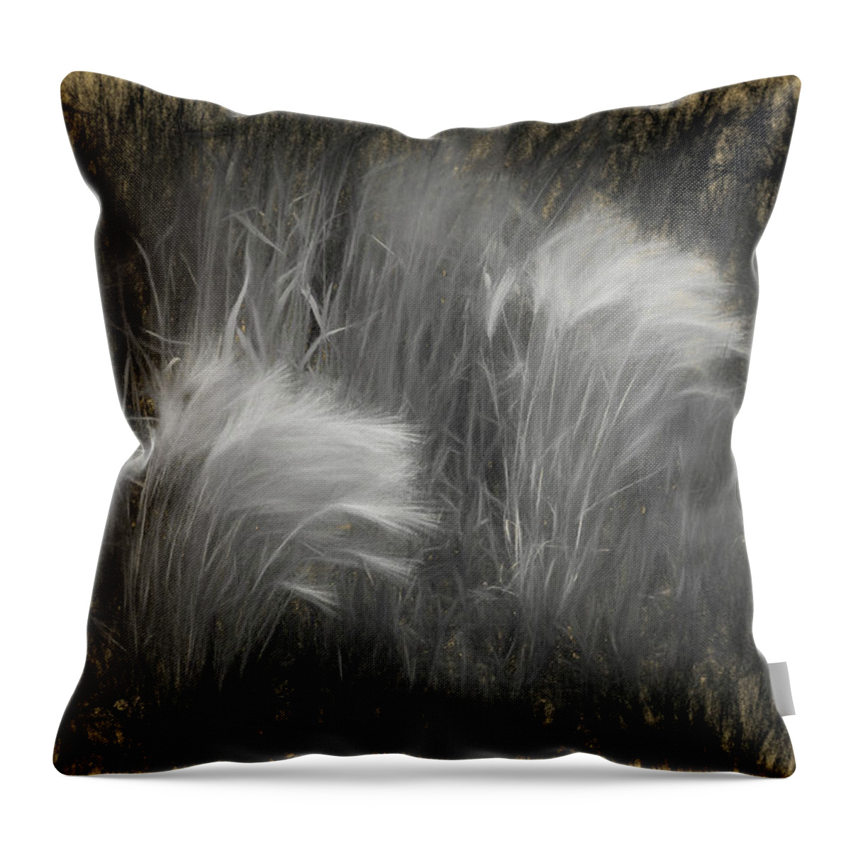 Wildflower Throw Pillow featuring the digital art Foxtail Barley by Scott Carlton