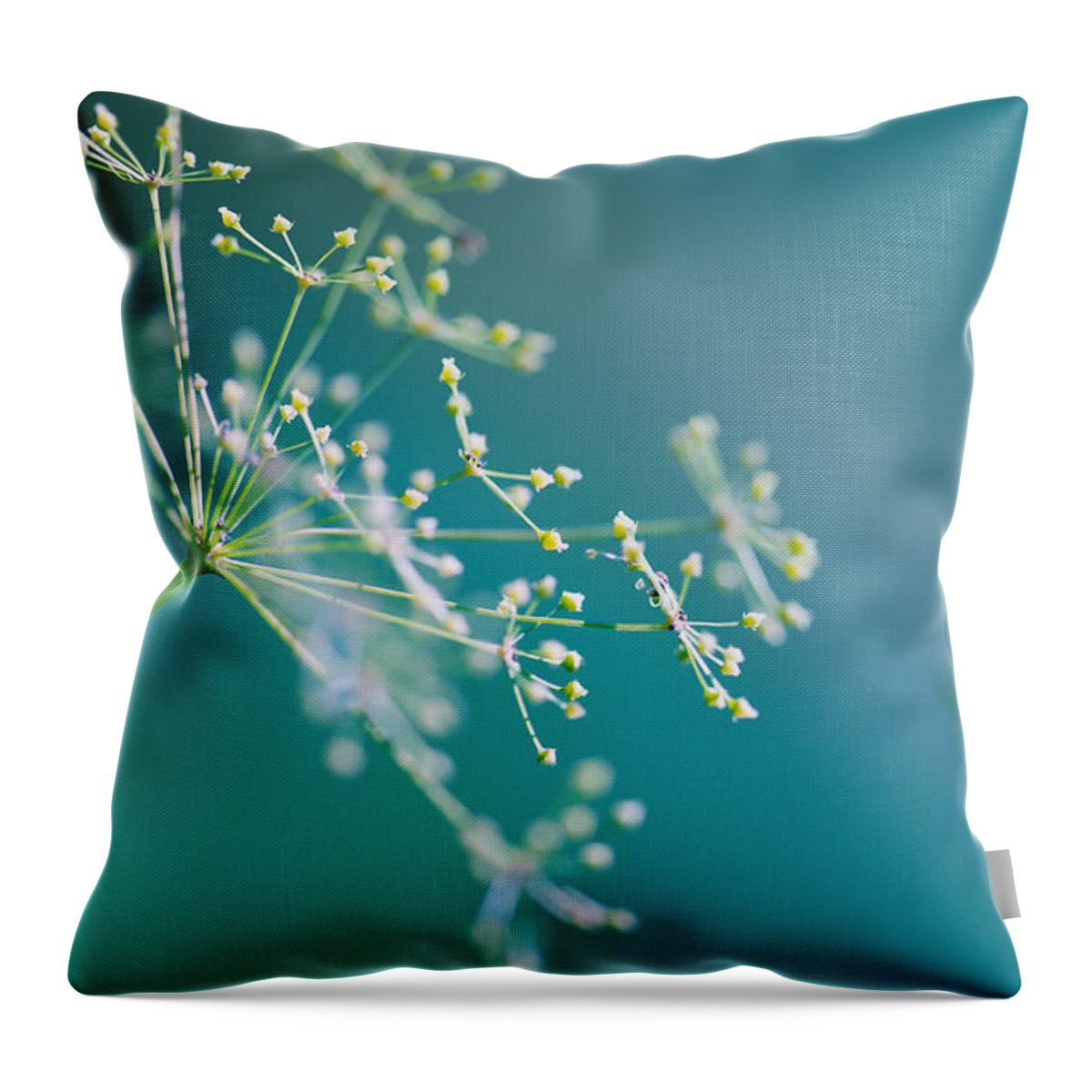 Dill Throw Pillow featuring the photograph Fragile Dill Umbels by Nailia Schwarz