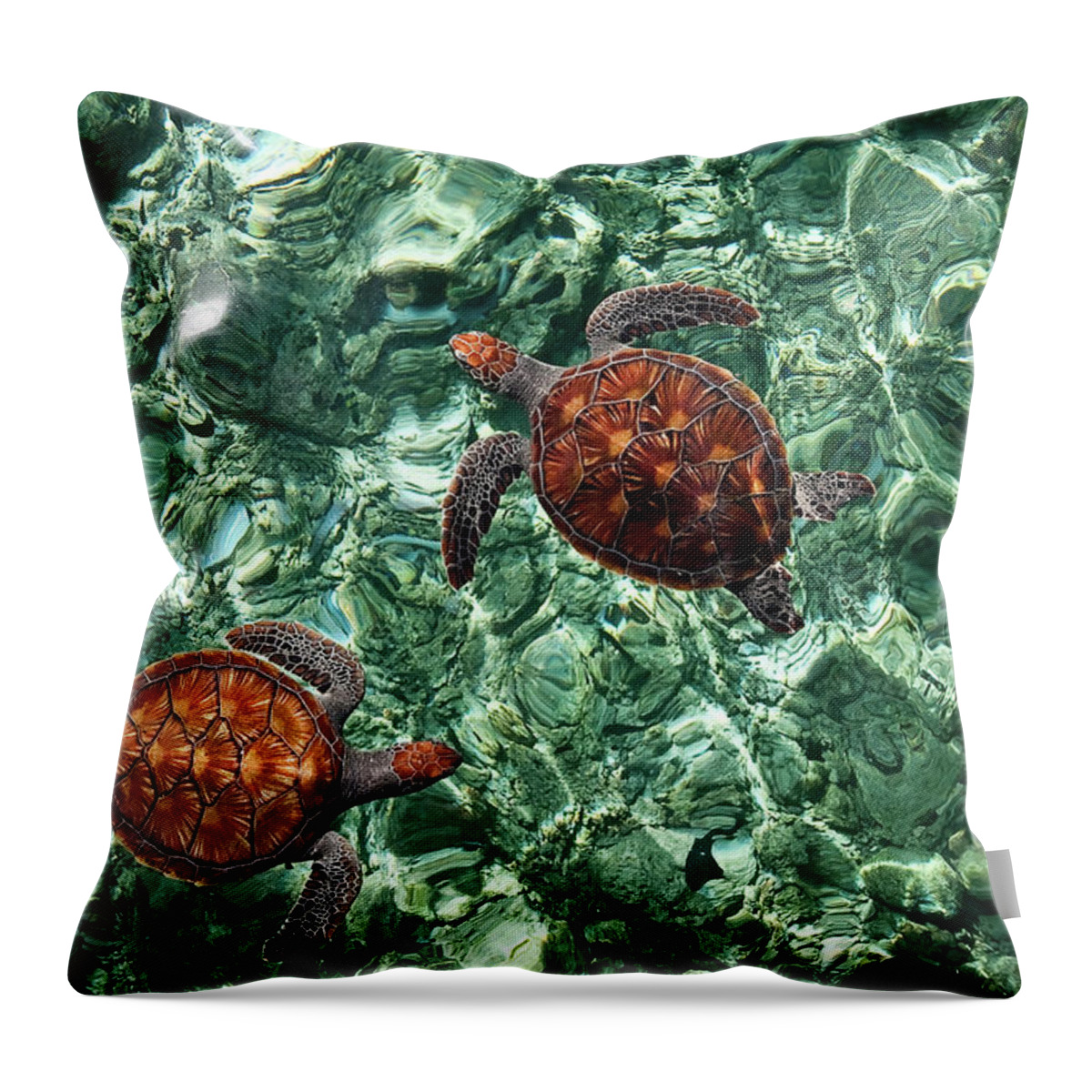 Jenny Rainbow Fine Art Photography Throw Pillow featuring the photograph Fragile Underwater World. Sea Turtles in a Crystal Water. Maldives by Jenny Rainbow