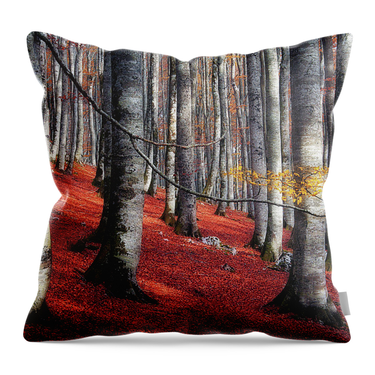 Forest Throw Pillow featuring the photograph Fragility II by Mikel Martinez de Osaba
