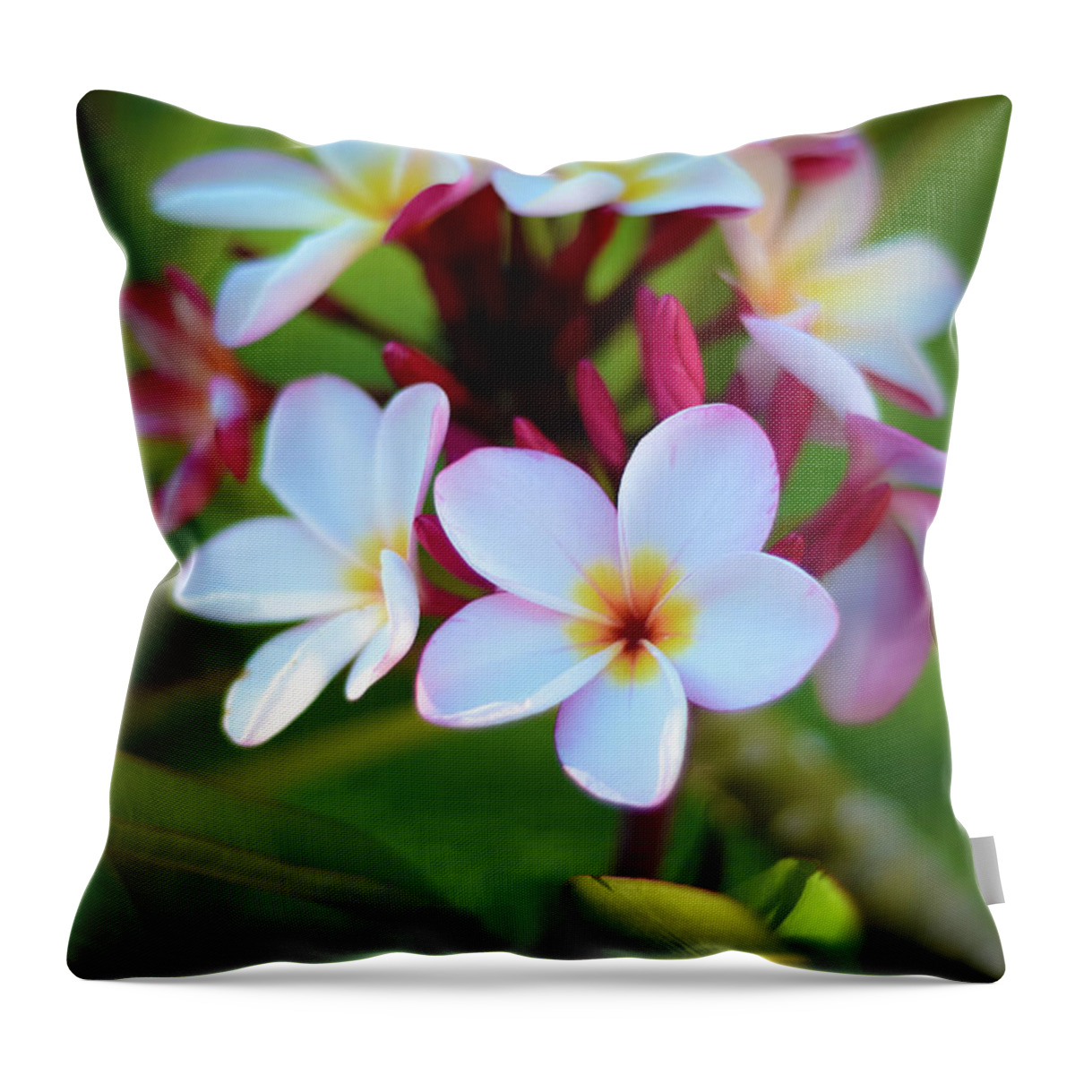 Photograph Throw Pillow featuring the photograph Fragrant Sunset by Kelly Wade