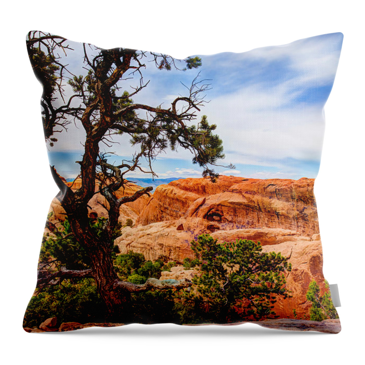 Outdoor Throw Pillow featuring the photograph Framed Arch by Chad Dutson