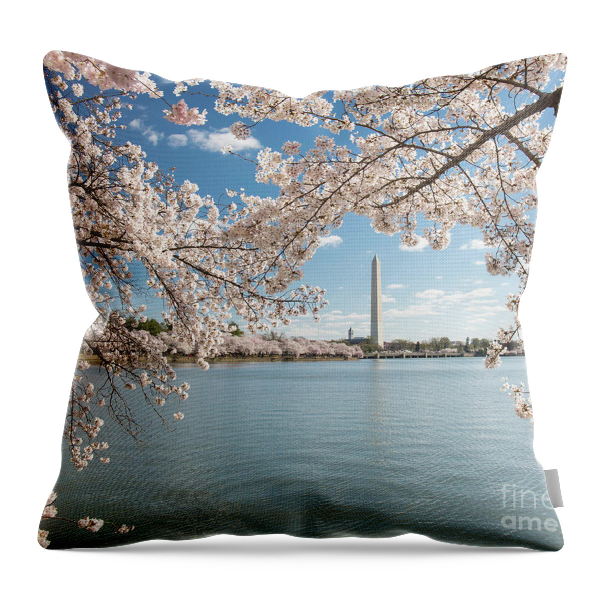 Cherry Blossom Festival Throw Pillow featuring the photograph Framed by cherry blossoms by Agnes Caruso