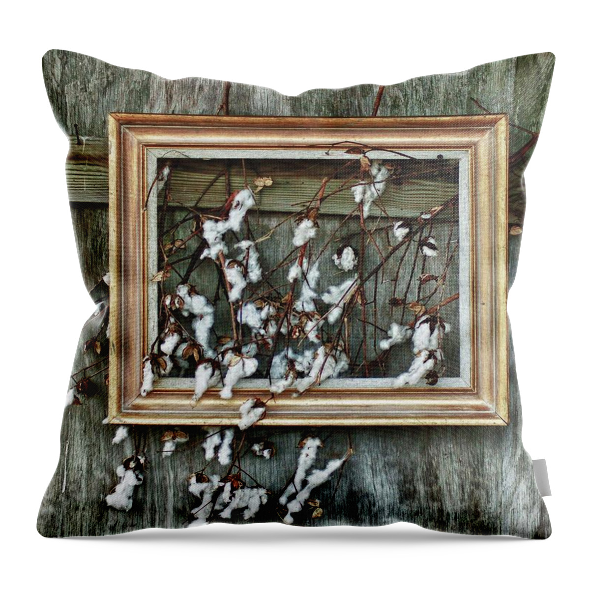 Black And White Throw Pillow featuring the painting Framed Cotton by Michael Thomas