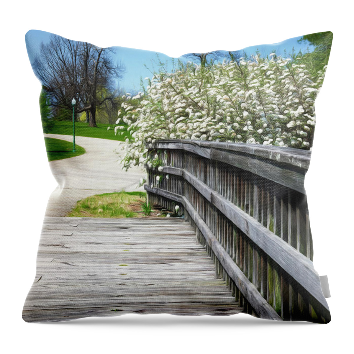 Botanical Gardens Throw Pillow featuring the photograph Franklin Park Conservatory Footbridge by Tom Mc Nemar