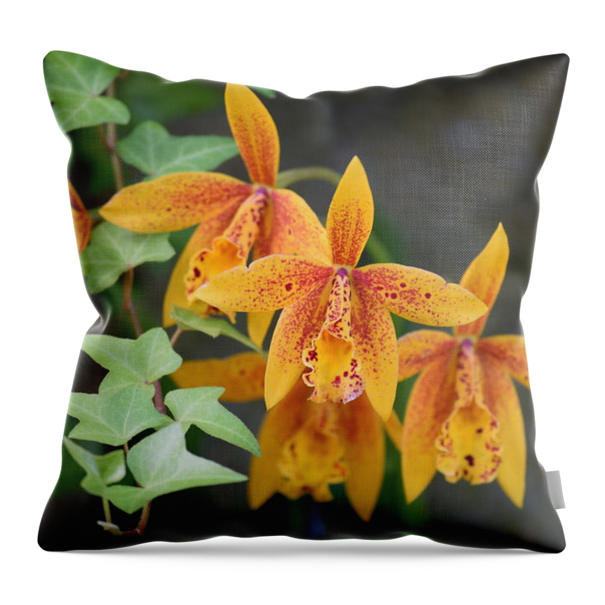 Orchid Throw Pillow featuring the photograph Freckled Flora by Deborah Crew-Johnson