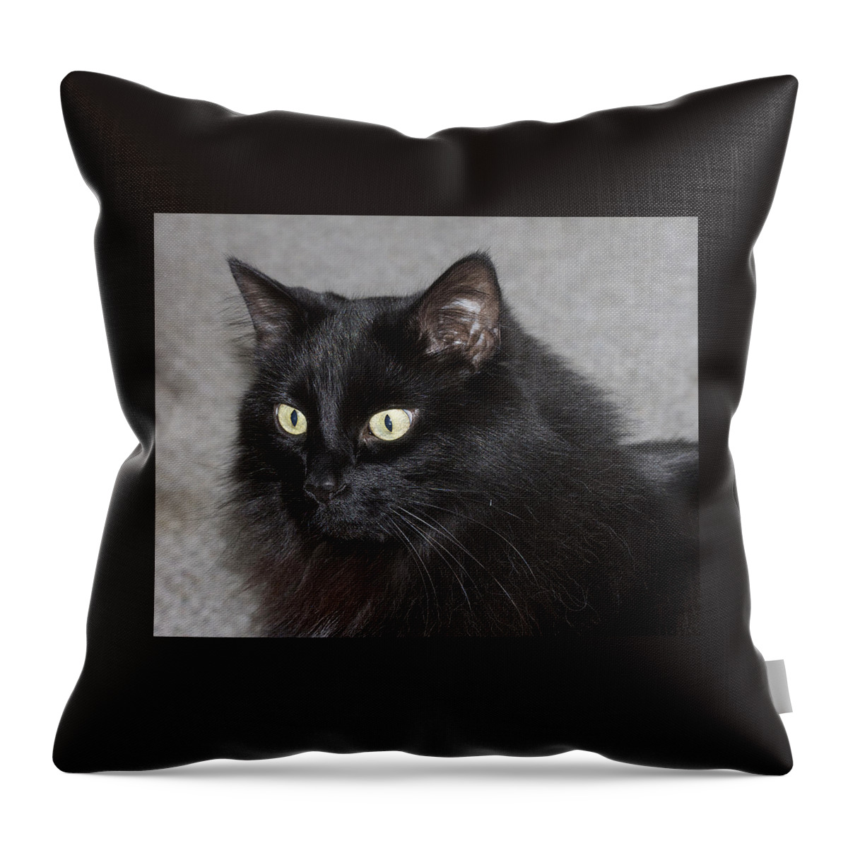 Black Yellow Throw Pillow featuring the photograph Fred by Suanne Forster