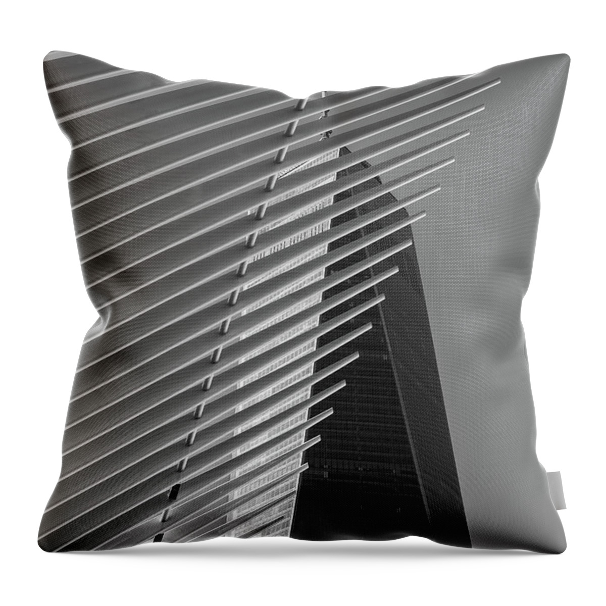 Clarence Holmes Throw Pillow featuring the photograph Freedom Tower and Oculus IV by Clarence Holmes