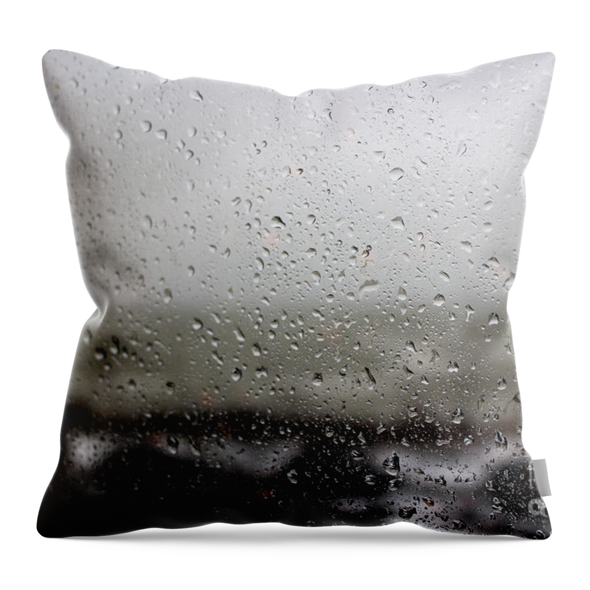 Freezing Throw Pillow featuring the photograph Freezing Rain by Laura Kinker