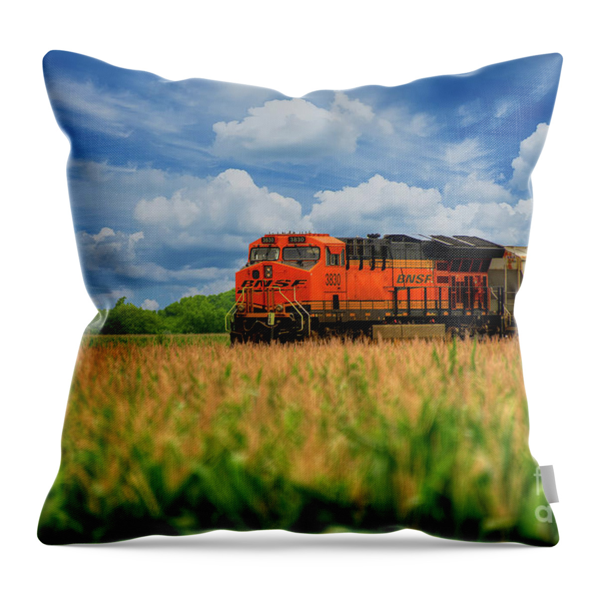 Freight Train Throw Pillow featuring the photograph Freight Train by Kelly Wade