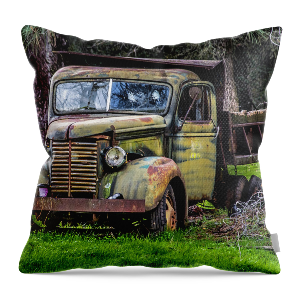 Old Truck Throw Pillow featuring the photograph French Creek Truck by Steph Gabler
