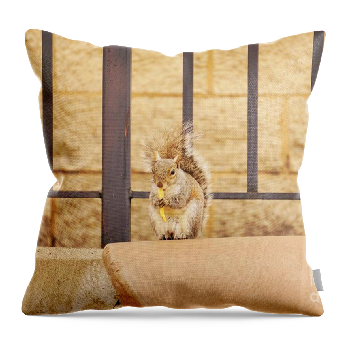 Squirrel Throw Pillow featuring the photograph French fry 101 by Merle Grenz