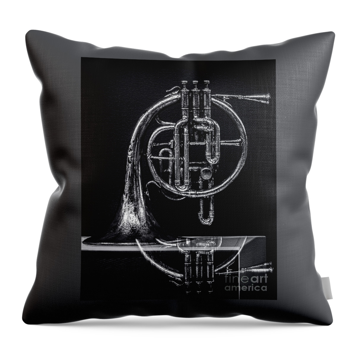 French Horn Throw Pillow featuring the photograph French Horn Beyond a Glass Table by James Aiken