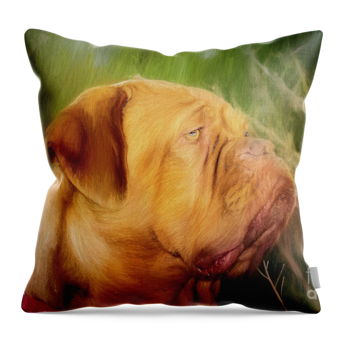 Dogs Throw Pillow featuring the photograph French Mastiff by Eleanor Abramson
