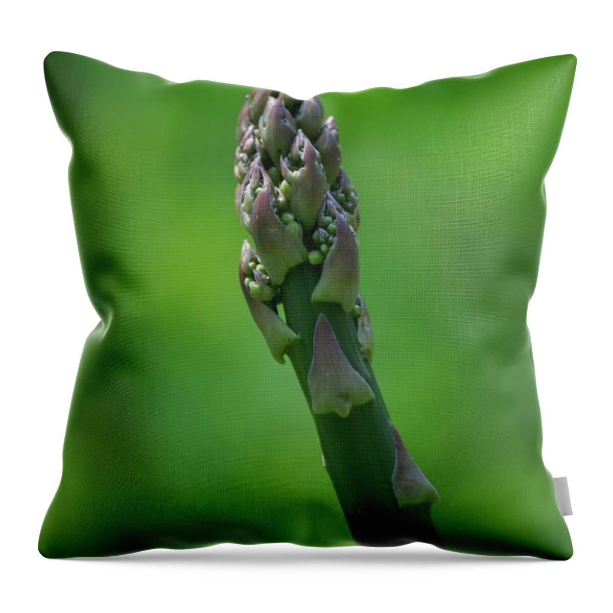 Asparagus Throw Pillow featuring the photograph Fresh Asparagus by Randy Bodkins