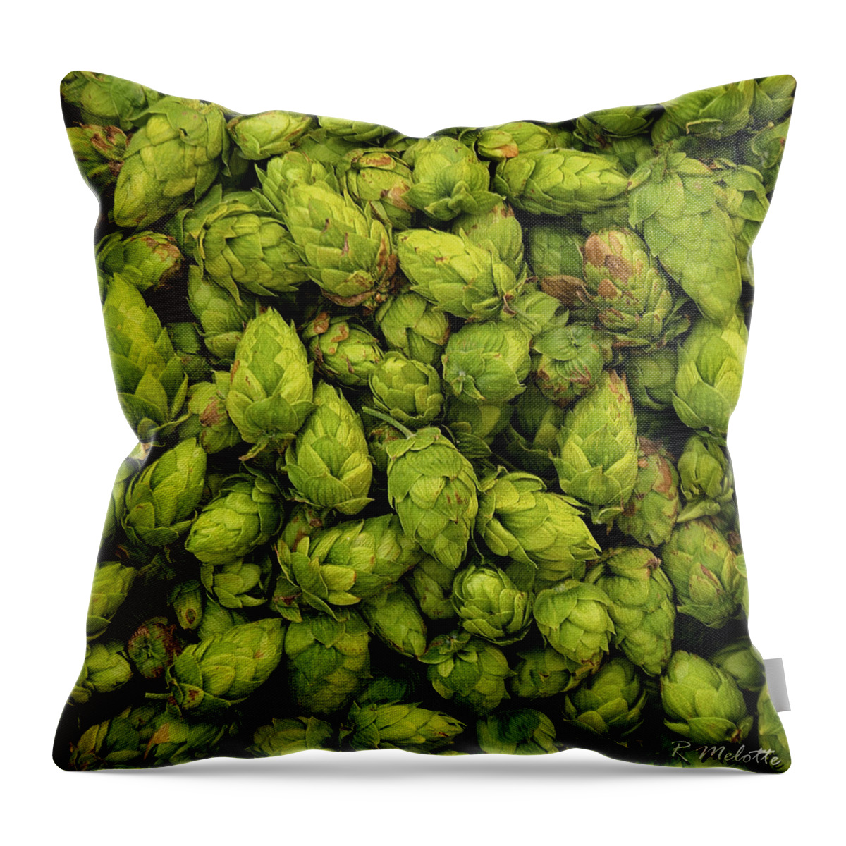 Hops Throw Pillow featuring the photograph Fresh Cascade by Rod Melotte