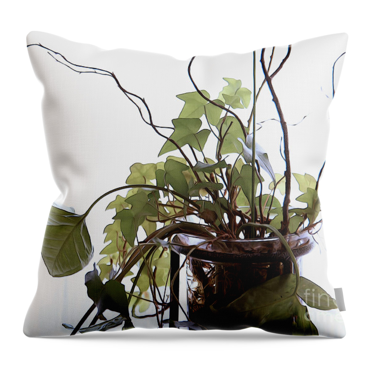House Plants Throw Pillow featuring the photograph Fresh Cuttings by Yvonne Wright