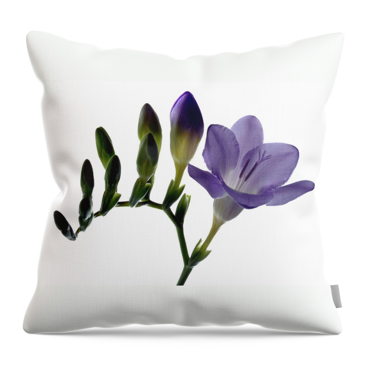 Freesia Throw Pillow featuring the photograph Fresh Freesia by Terence Davis
