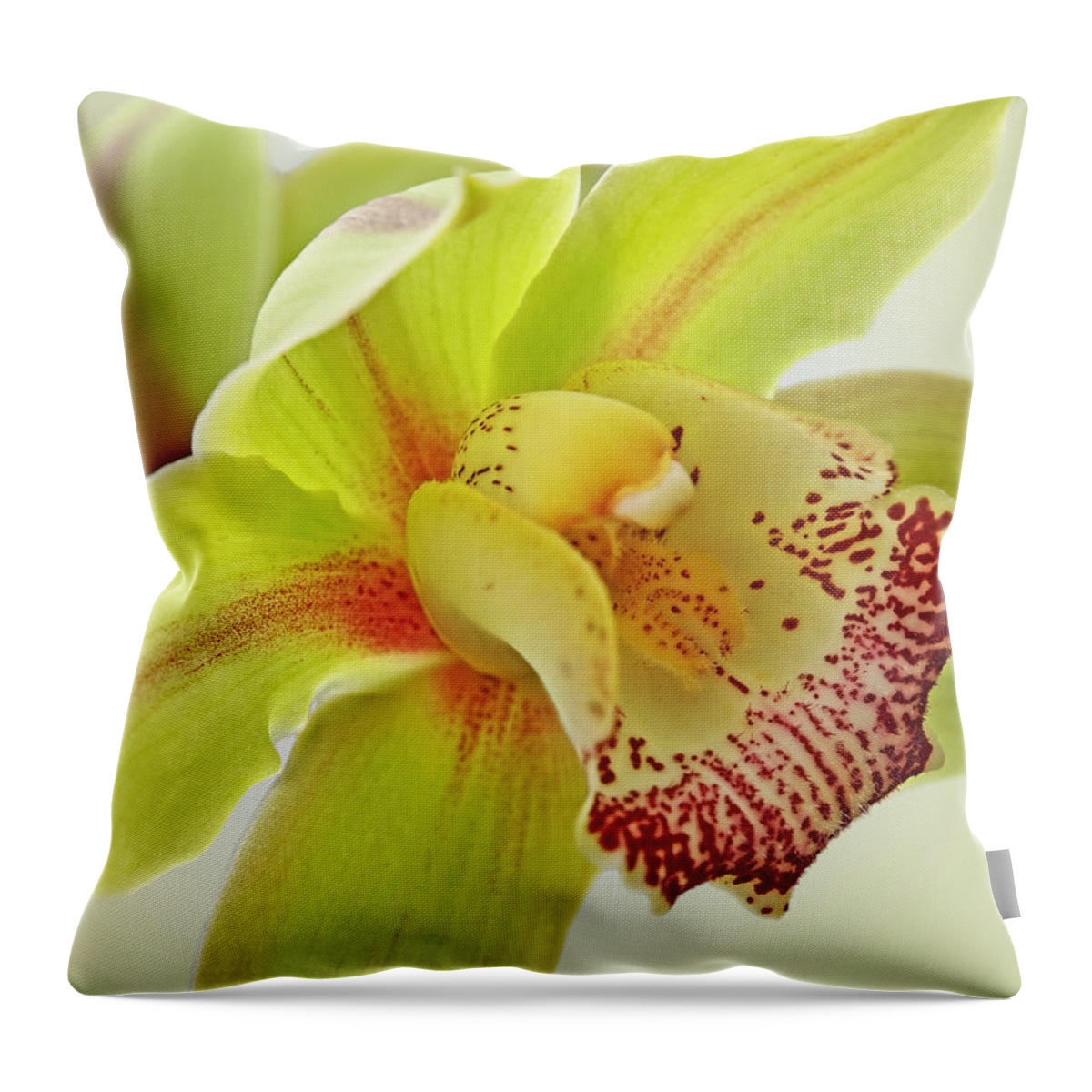Yellow Orchid Throw Pillow featuring the photograph Fresh Green Cymbidium Orchid by Gill Billington