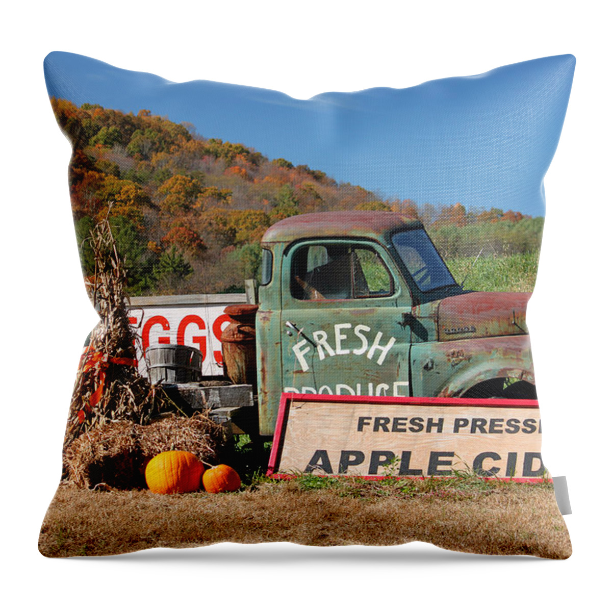 Fall Throw Pillow featuring the photograph Fresh by Suzanne Gaff