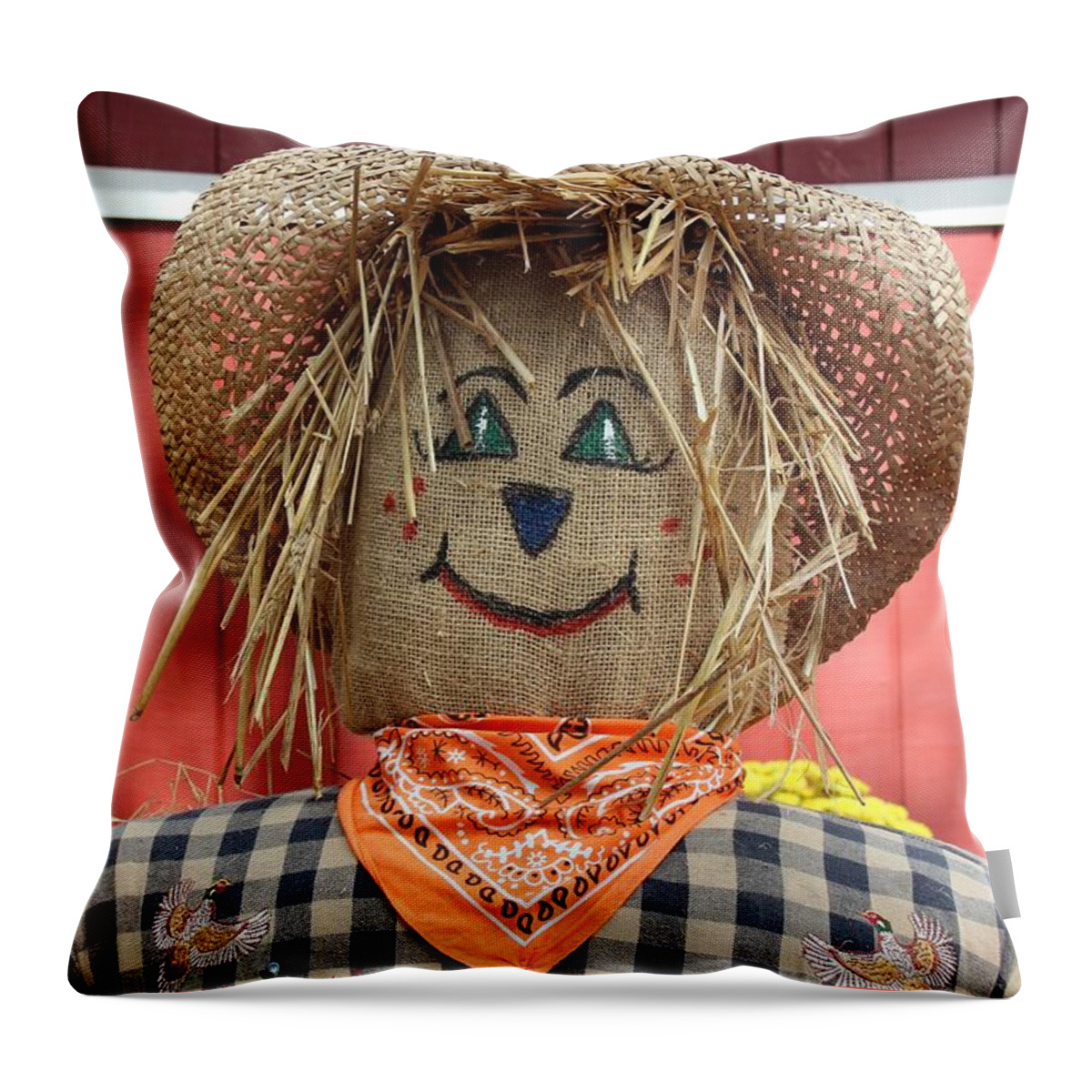Photo For Sale Throw Pillow featuring the photograph Friendly Scarecrow by Robert Wilder Jr