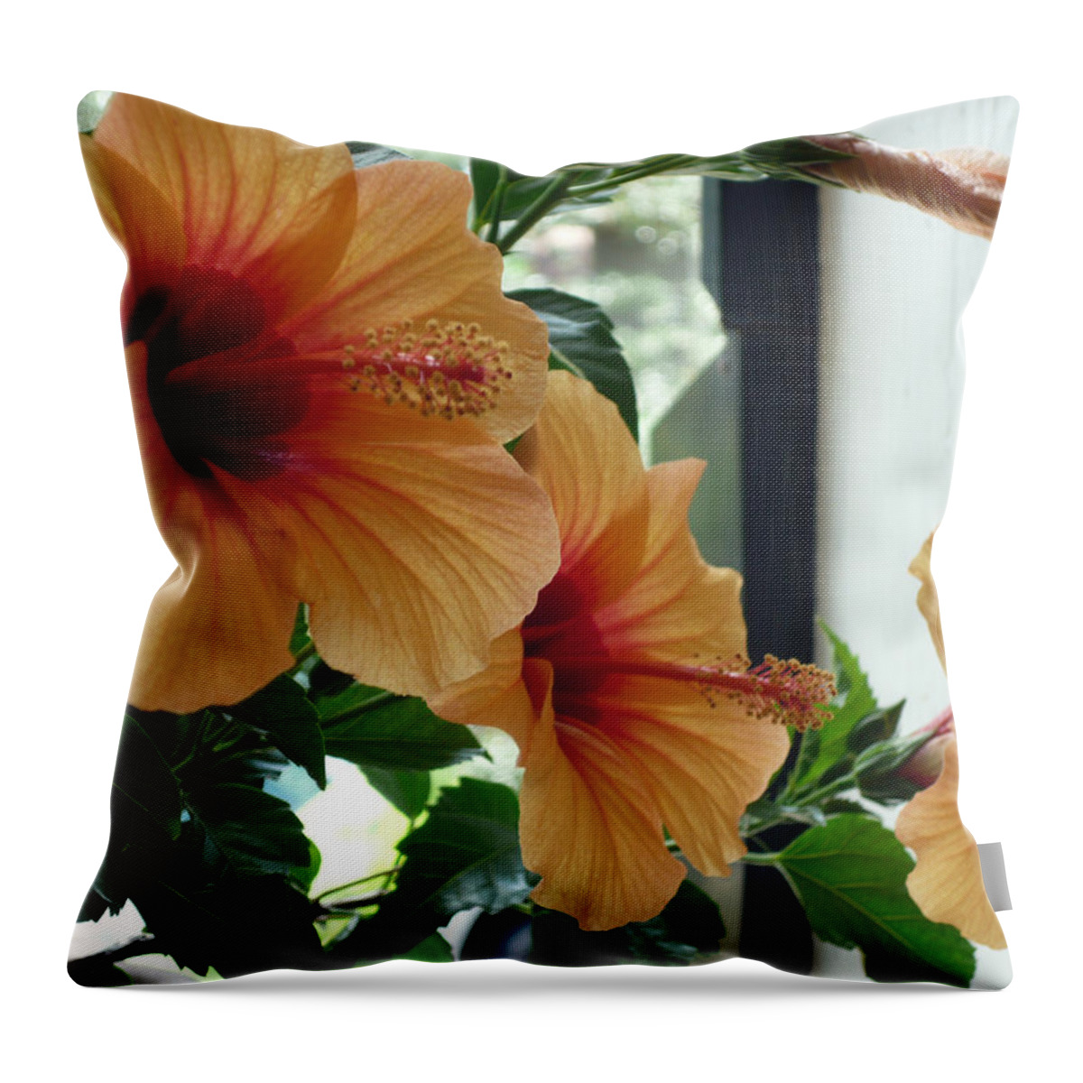 Photography Flower Floral Bloom Hibiscus Peach Throw Pillow featuring the photograph Friends for a day by Karin Dawn Kelshall- Best