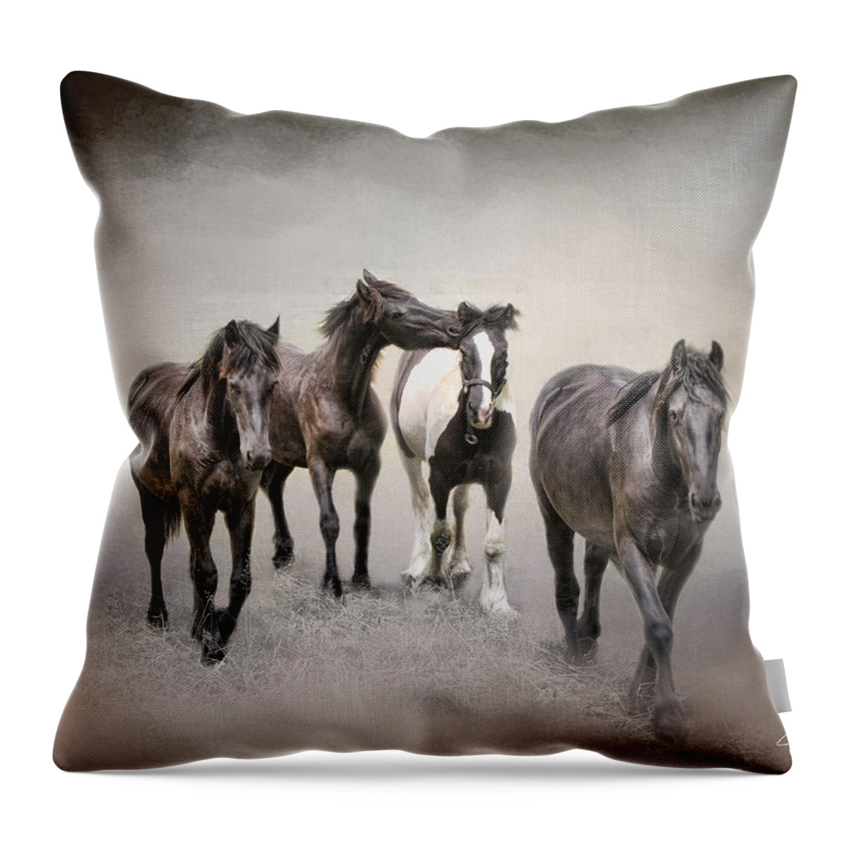Evie Throw Pillow featuring the photograph Friesian Horses The Boys and Baby Sister by Evie Carrier