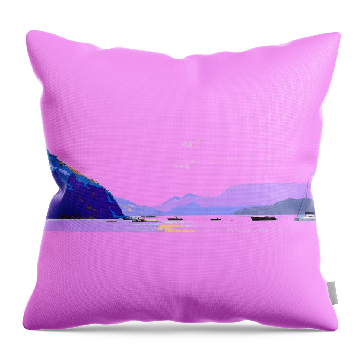 Frigate Throw Pillow featuring the photograph Frigate Bay Morning by Ian MacDonald