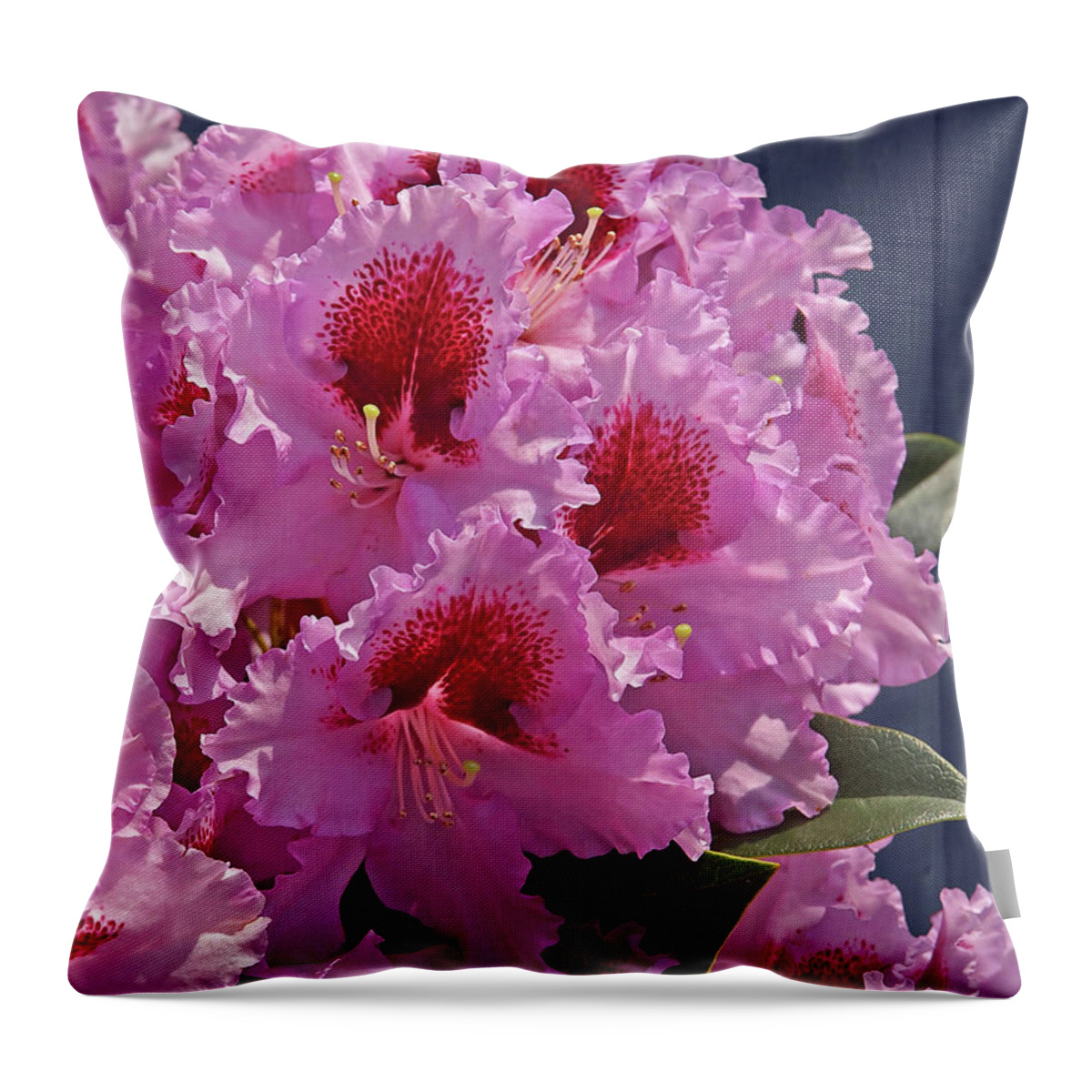 Pink Flower Throw Pillow featuring the photograph Frilly Pink Rhododendron by Gill Billington