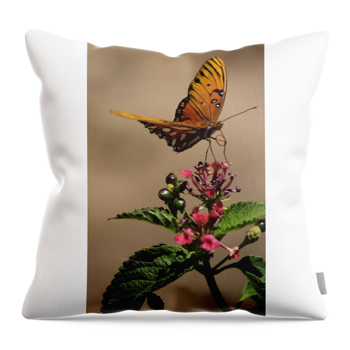 Fritillary Butterfly Throw Pillow featuring the photograph Fritillary butterfly by Liz Vernand